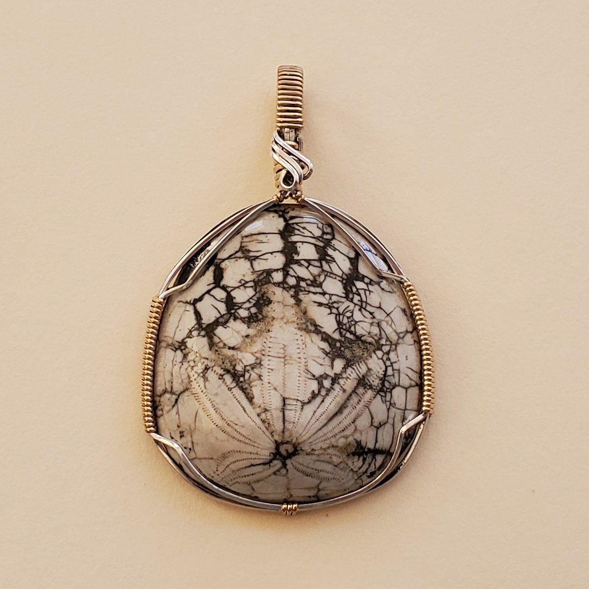 Fossilized Sand-Dollar Pendant Wire-Wrapped Sterling Silver  14 KGF  Everitt's Minerals  Gallery